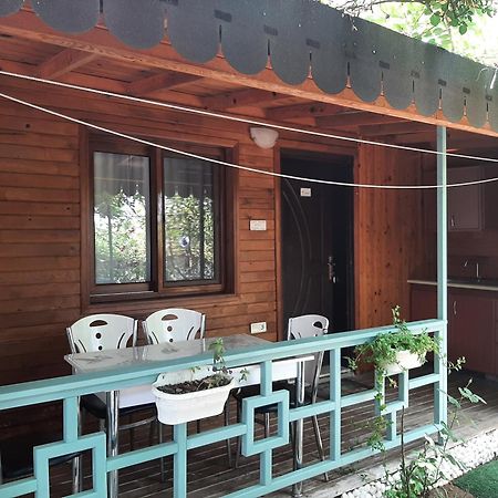 Flora Pansiyon Cirali Apartment Kemer Exterior photo